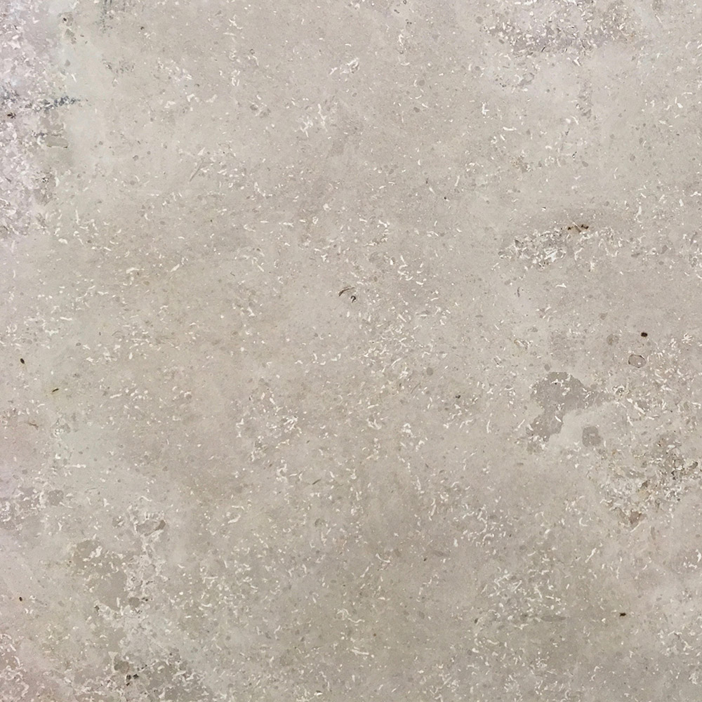 Blaugrauer fossilreicher Kalkstein